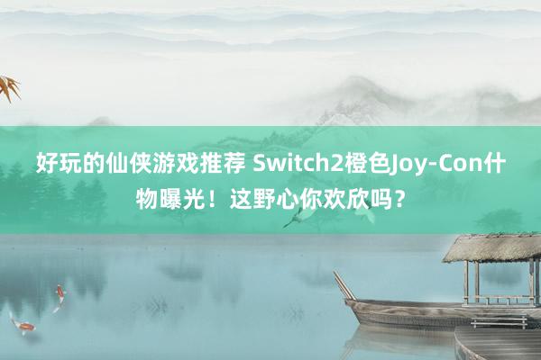 好玩的仙侠游戏推荐 Switch2橙色Joy-Con什物曝光！这野心你欢欣吗？