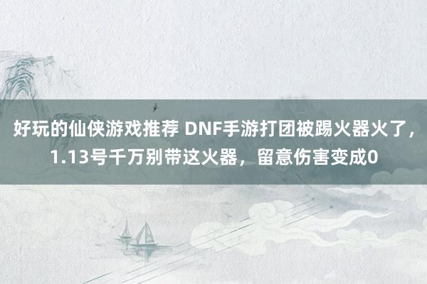 好玩的仙侠游戏推荐 DNF手游打团被踢火器火了，1.13号千万别带这火器，留意伤害变成0