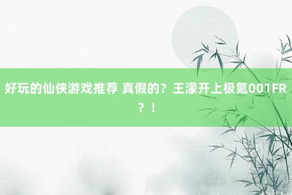 好玩的仙侠游戏推荐 真假的？王濛开上极氪001FR？！