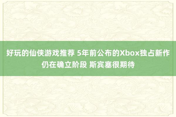 好玩的仙侠游戏推荐 5年前公布的Xbox独占新作仍在确立阶段 斯宾塞很期待